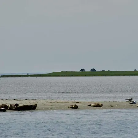 6 Person In Tatil Evi Hadsund