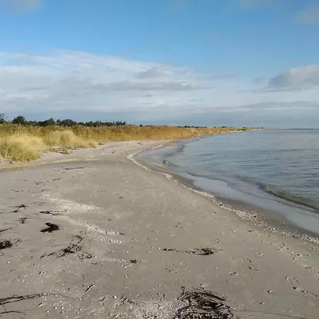 Tatil Evi 6 Person In Hadsund